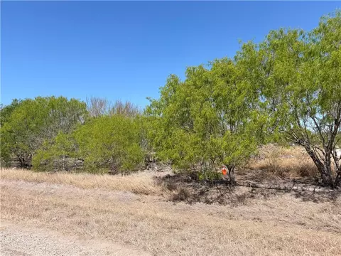 00 La Paloma Dr, Bishop, TX 78343