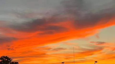 Other - 116 Sunset Dr, Mathis, TX 78368 photo 7 of 7