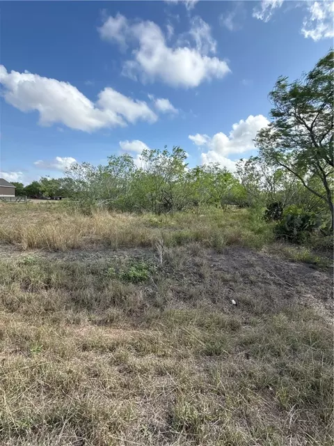 0 Heather, Robstown, TX 78380