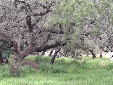 9213 Pvt 6005 Rd, Papalote, TX 78387
