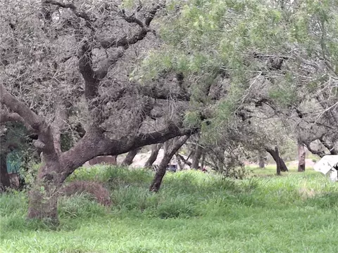 9213 Pvt 6005 Rd, Papalote, TX 78387