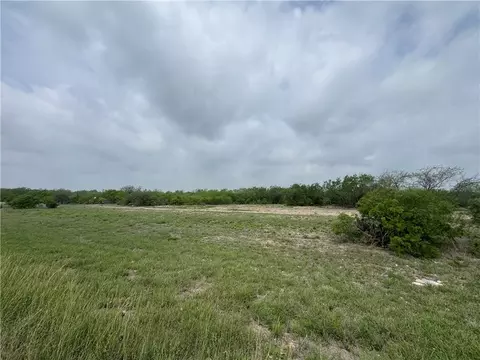 tbd Highway 359, Alice, TX 78332