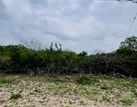 tbd Highway 359 Hwy, Orange Grove, TX 78372