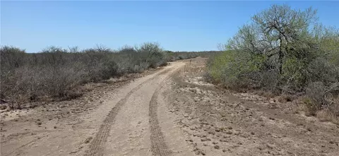 27 Ac Cr 1329, Concepcion, TX 78349