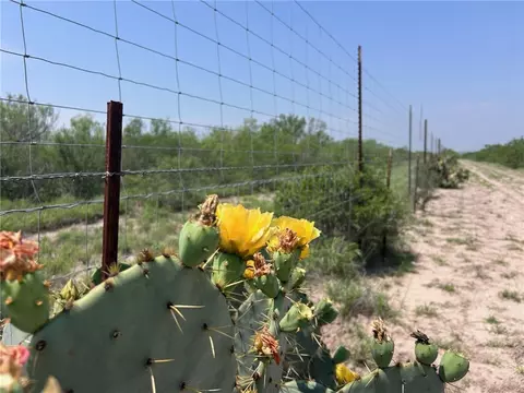 tbd Persimmon Dr, Freer, TX 78357
