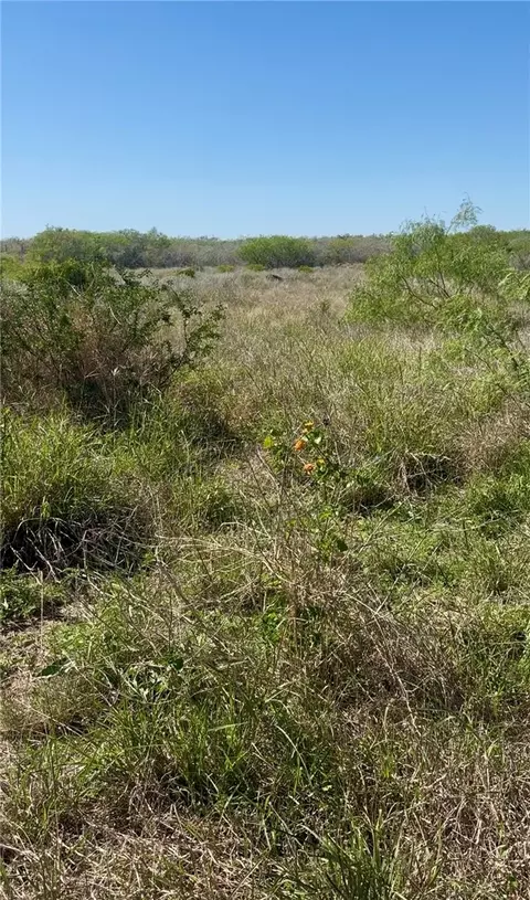44 Ranch South Hwy S, San Diego, TX 78384