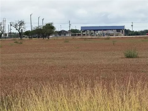 2003 S Cameron St, Alice, TX 78332