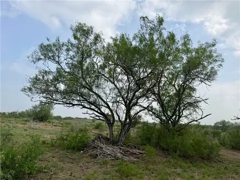 0 County Road 104, San Diego, TX 78334