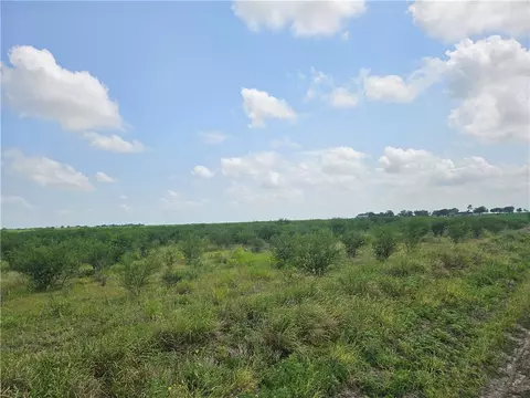0 Cr 364, Sandia, TX 78383