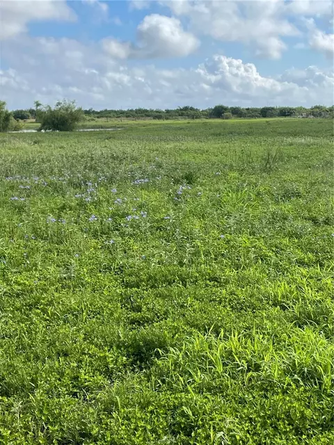 4416 County Road 1177, Taft, TX 78390
