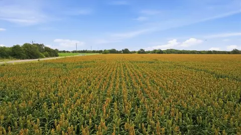 00 Lackey Rd, Taft, TX 78390