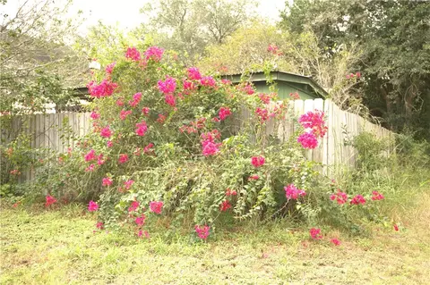 Exterior - 711 E Lott St, Beeville, TX 78102 photo 12 of 12