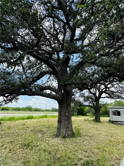 0 County Road 623 624, Skidmore, TX 78389