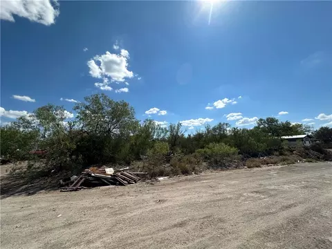 0 Humble St, Freer, TX 78357 photo 3