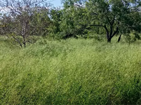364 Deer Meadows Dr, Alice, TX 78332