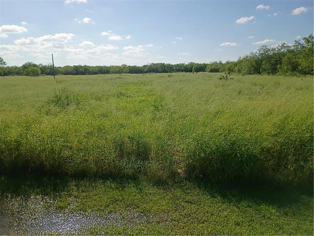 356 Deer Meadows Dr, Alice, TX 78332