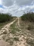 0 Blackbrush Spur Rd, George West, TX 78022
