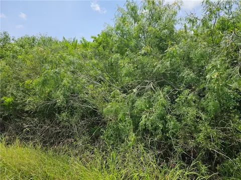 1110 Second St, Bayside, TX 78340 photo 6