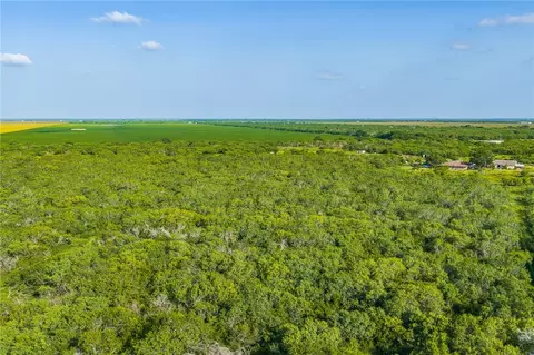 8259 Baldwin, Mathis, TX 78368 photo 15