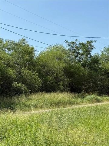 Tba N 2nd Street, Alice, TX 78342