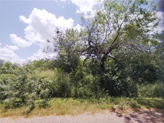 tbd Lot 2 Thunderbird Trl, Sandia, TX 78383
