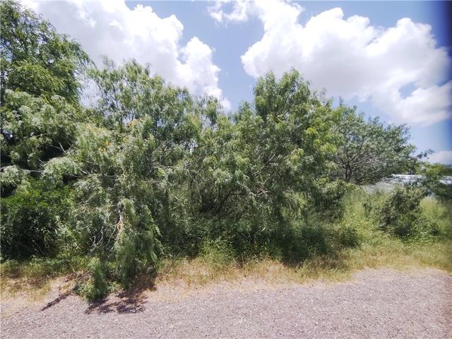 tbd Lot 3 Thunderbird Trl, Sandia, TX 78383