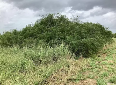 0000 Cty Rd 1140, Riviera, TX 78379