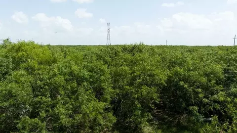 000 Gin Rd, Bayside, TX 78340 photo 17