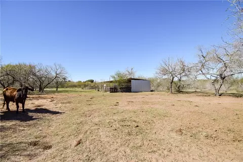 23250 Cr 1038, Mathis, TX 78368 photo 26