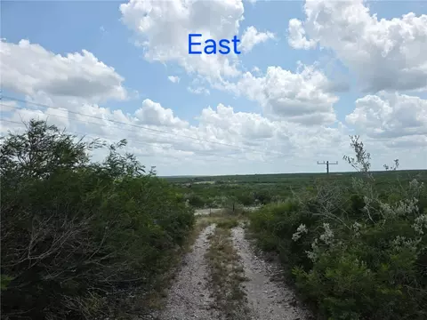 234 W County Road 239, Orange Grove, TX 78372