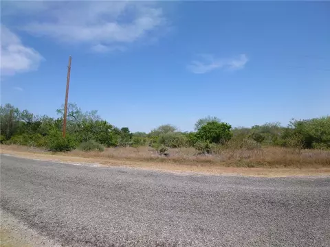 0000 County Road 3033, Orange Grove, TX 78372