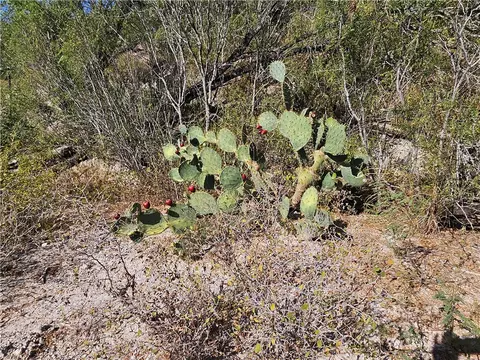 Other - 24024 441 Cir, Mathis, TX 78368 photo 11 of 31