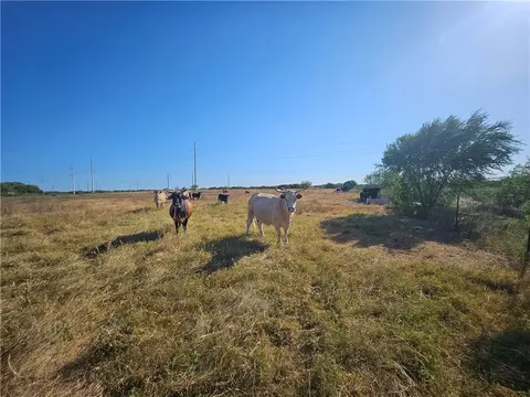 Other - 24024 441 Cir, Mathis, TX 78368 photo 5 of 31