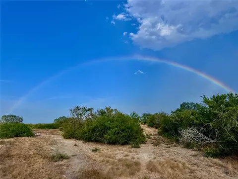 0 Us Hwy 59, Freer, TX 78357 photo 6