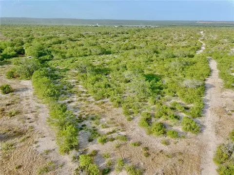 0 Us Hwy 59, Freer, TX 78357 photo 4