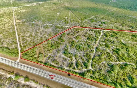 0 Us Hwy 59, Freer, TX 78357 photo 3