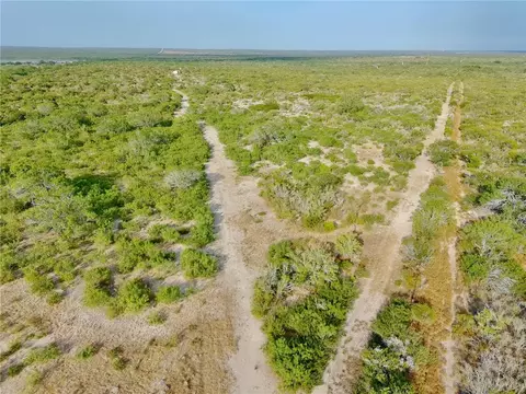 0 Us Hwy 59, Freer, TX 78357 photo 5