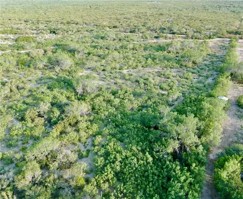 0 Us Hwy 59, Freer, TX 78357 photo 7