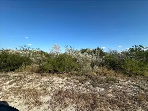 0 Cr 160 Ave, Orange Grove, TX 78372