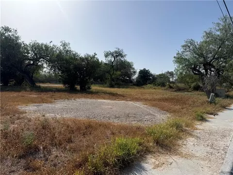 1614 S Reynolds St, Alice, TX 78332