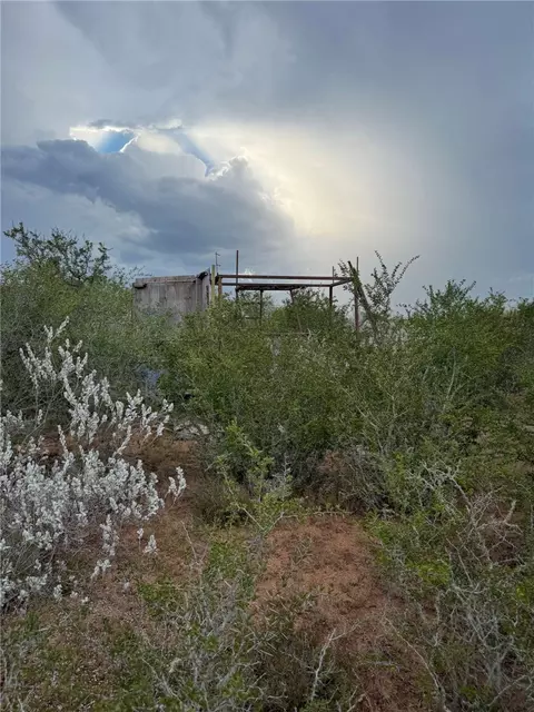 02 Cr 147, George West, TX 78022
