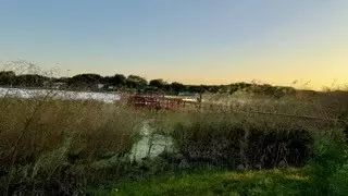 10 Lakeshore Dr, Sandia, TX 78383