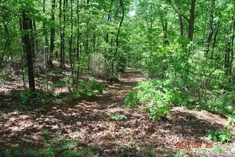 1059 Deer Park Rd, Nebo, NC 28761 photo 43