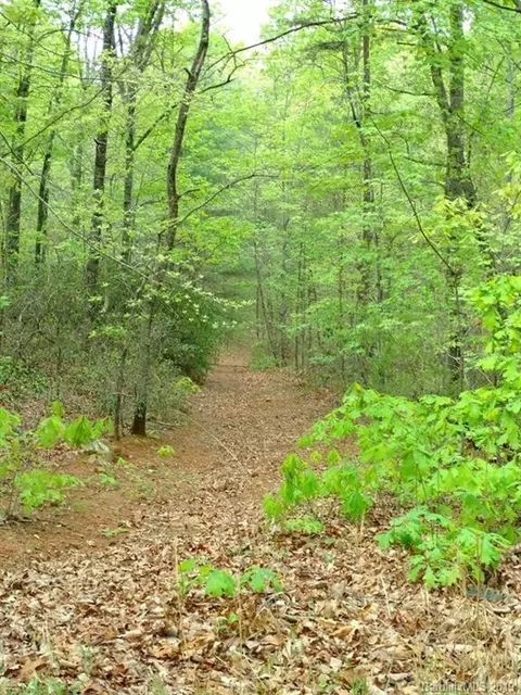 1059 Deer Park Rd, Nebo, NC 28761 photo 38
