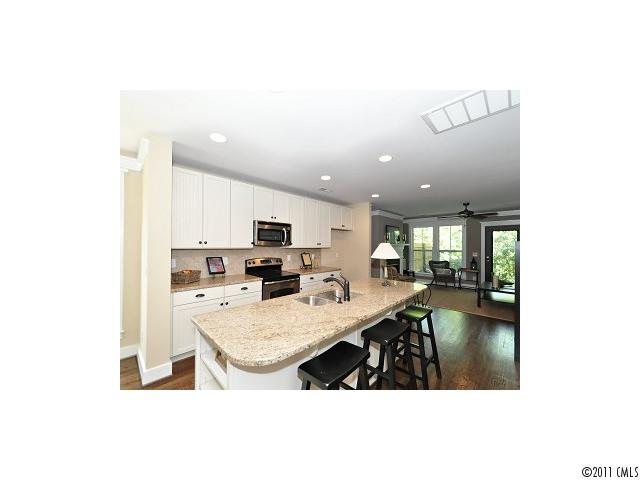 360 Spring St, Davidson, NC 28036 photo 8