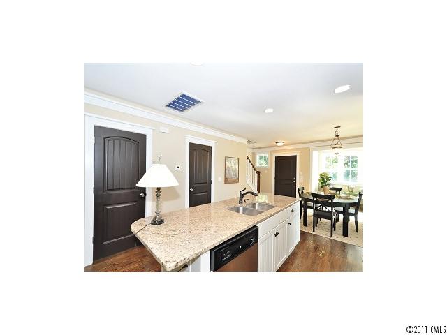 360 Spring St, Davidson, NC 28036 photo 10
