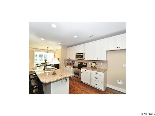 360 Spring St, Davidson, NC 28036 photo 9