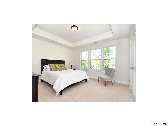360 Spring St, Davidson, NC 28036 photo 12