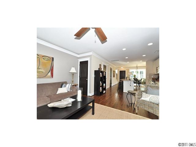 360 Spring St, Davidson, NC 28036 photo 7