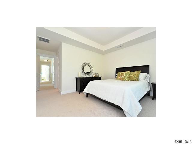 360 Spring St, Davidson, NC 28036 photo 11
